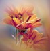 floral_still_life_by_svitakovaeva-d31xjno.jpg