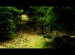 in_the_spruce_forest_by_svitakovaeva-d39osv5